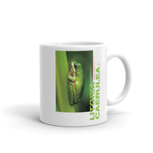 Default Title Litoria Caerulia White Glossy Mug by Design Express